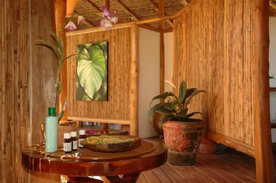 a wooden room with a table and a plant at Los Altos de Eros - Adults Only in Playa Avellana
