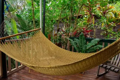 a hammock on a porch with plants at Cabaña Ave Del Paraiso in Cartago