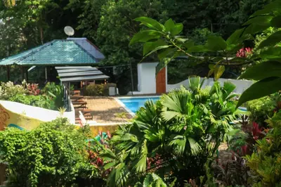 a garden with a swimming pool and a pavilion at Hostel Plinio in Manuel Antonio