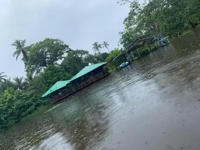 a train on a bridge over a river at All Rankins Eco-Lodge in Tortuguero
