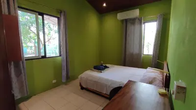 a bedroom with green walls and a bed and a table at Casa Coco Playa Marbella with AC, Swimming Pool, Skate Bowl & walking distance Beach for Surfers and Nature Lovers in Marbella