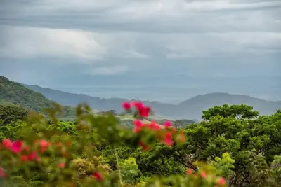 a view of mountains with pink flowers in the foreground at Gateway to Paradise in Tilarán