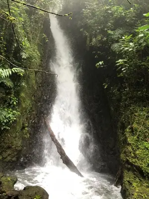 a waterfall in the middle of a river in the jungle at Vistaverde Lodge in Monteverde Costa Rica