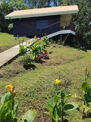 a garden with flowers in front of a house at Cabaña Montaña de Sueños in Quesada