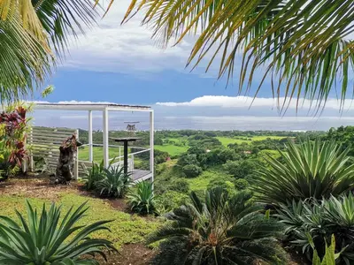 a view of the jungle from the garden of a house at La Colina Pura Vista in Bejuco