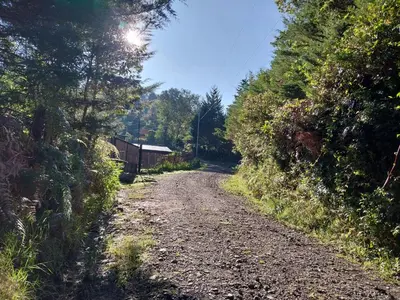 a dirt road with trees on both sides at Curuba Lodge in El Copey
