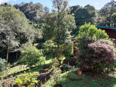 a view of a garden with trees and flowers at Curuba Lodge in El Copey