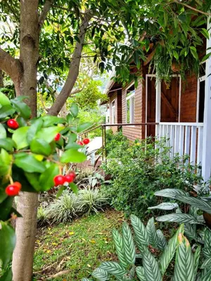 a garden with a house with a tree and red flowers at Cabañas Barú Dota in Santa María