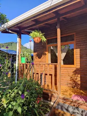 a wooden cabin with a window and a potted plant at Cabañas Barú Dota in Santa María