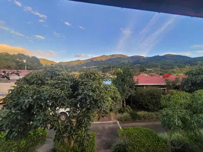 a view of a tree with mountains in the background at Cabañas Barú Dota in Santa María
