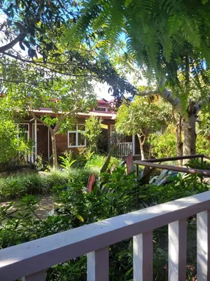a house with a white fence and trees at Cabañas Barú Dota in Santa María
