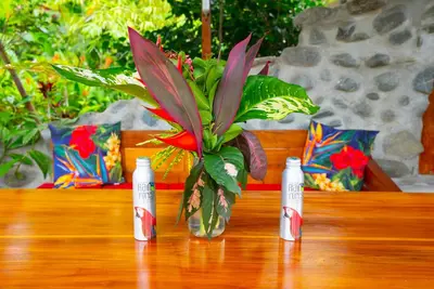 a vase with a plant in it on a table at Macaw Villa - Riverfront With A Pool in Uvita