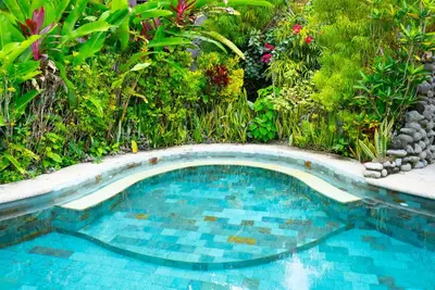 a swimming pool in a garden with flowers at Macaw Villa - Riverfront With A Pool in Uvita