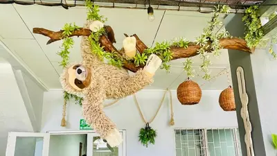a stuffed monkey hanging from a tree branch at Hostel El Pretal in Liberia