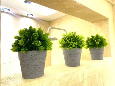 three potted plants are sitting on a shelf at Buendía Lux Piña Suite Hidden Gem Near Beach with Pool in Potrero