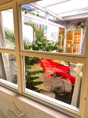 a window in a room with plants in it at Buendía Lux Piña Suite Hidden Gem Near Beach with Pool in Potrero
