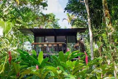 a house in the jungle with trees at Eden Organic Farm & Bungalows in Fortuna