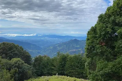 a view of a valley with trees and mountains at Cabaña la Chispita, Alto Jaular in Rivas