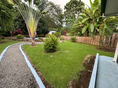 a garden with a palm tree in a yard at Casa Willow Spacious and relaxing property in Ojochal