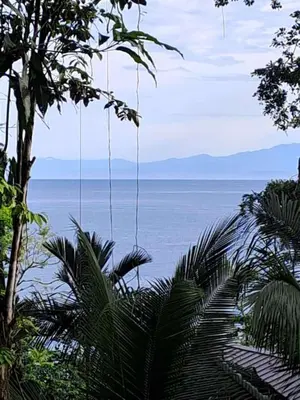 a swing hanging from a tree with the ocean in the background at Vista Alta Ecolodge Bahia Drake in Drake