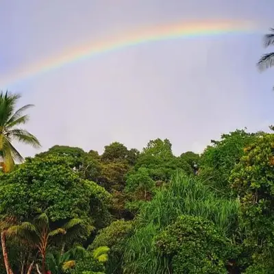 Vista Alta Ecolodge Bahia Drake