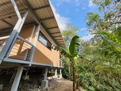 a house with a palm tree in front of it at Nangu lodge in Sámara