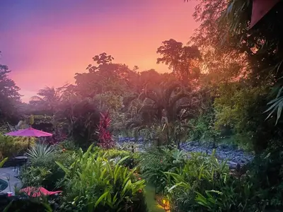 a garden with plants and an umbrella at sunset at Tortuga Premium Riverfront Jungle Villa with Jacuzzi and Pool in Uvita