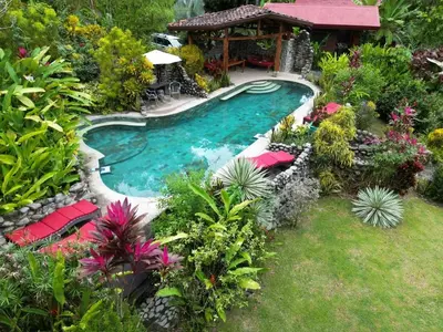 a swimming pool in the middle of a garden at Tortuga Premium Riverfront Jungle Villa with Jacuzzi and Pool in Uvita