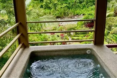 a plunge pool in a balcony with a garden at Sloth Premium Riverfront Jungle Villa with Jacuzzi and Pool in Uvita