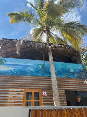 a man standing in front of a house with a palm tree at Quinta Esencia in Brasilito