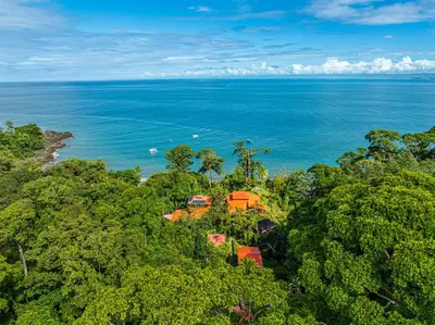 an aerial view of a forested area with the ocean at Las Caletas Lodge in Drake