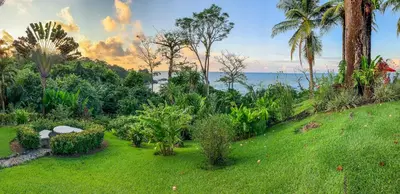 a garden with palm trees and the ocean in the background at Las Caletas Lodge in Drake