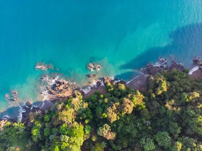 an aerial view of a forest and the water at Las Caletas Lodge in Drake