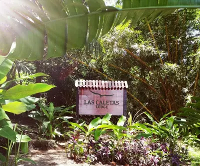 a sign in the middle of a garden with plants at Las Caletas Lodge in Drake