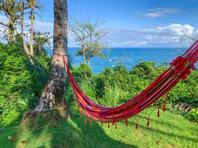 a hammock hanging from a tree next to the ocean at Las Caletas Lodge in Drake