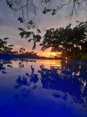a sunset over a body of water with trees at Casa Namaste del Pacifico - Luxury Villa in Santa Teresa Beach