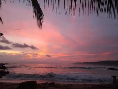 a sunset on the beach with a palm tree at Casa Namaste del Pacifico - Luxury Villa in Santa Teresa Beach