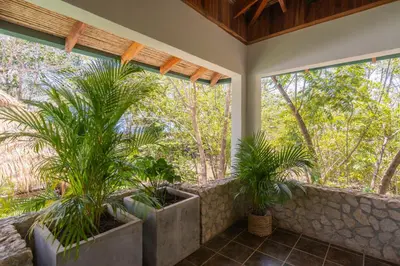 a patio with two palm trees and a stone wall at Dream Surf House Avellana in Playa Avellana