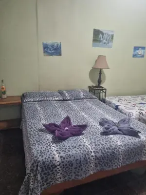 a bedroom with two purple bows on a bed at Hotel Paradise Alajuela in Alajuela City