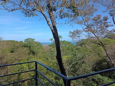 a balcony with a view of a tree in a forest at Laurel Jungle & Ocean in Santa Teresa Beach