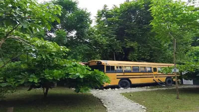 a yellow school bus parked in front of trees at Nanku Nimbu Casa-Bus equipada cerca de playas in Sámara