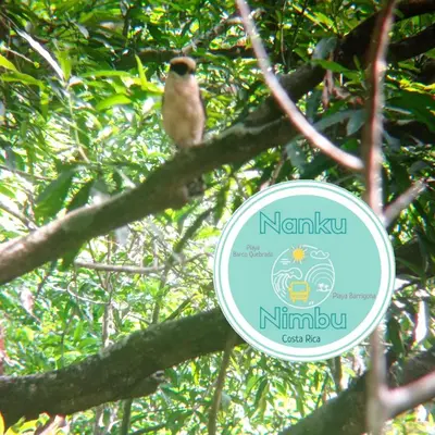 a bird sitting on a tree branch with a sign at Nanku Nimbu Casa-Bus equipada cerca de playas in Sámara
