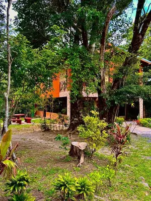 a house with a tree in a yard at Villa El Nido Monteverde in Monteverde Costa Rica