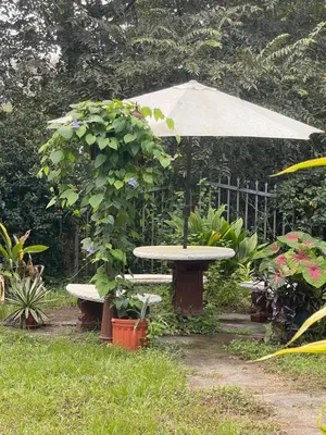 a picnic table and an umbrella in a garden at Villa Pura Vida in Matapalo