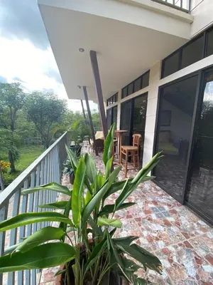 a porch of a house with a plant at Villa Pura Vida in Matapalo