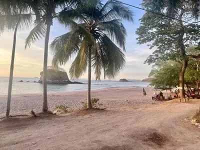 a beach with two palm trees and the ocean at Villa Pura Vida in Matapalo