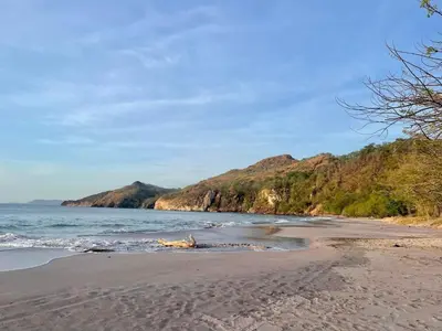 a beach with a dog laying on the sand at Villa Pura Vida in Matapalo