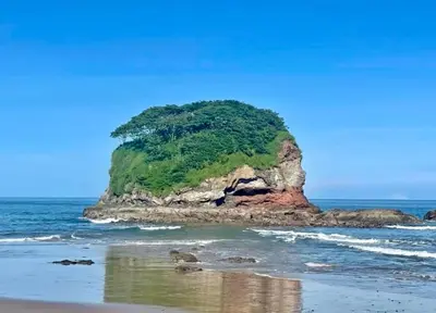 an island in the ocean with a tree on it at Villa Pura Vida in Matapalo