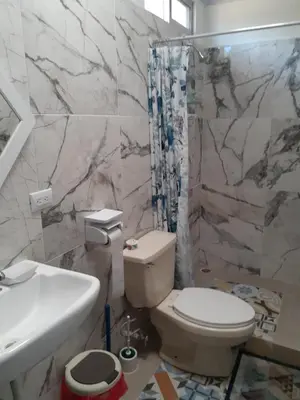 a bathroom with a toilet and a sink and a shower at Casa espejo in Potrero