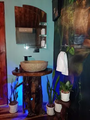 a bathroom with a sink and some potted plants at El Valle Mineral Springs in San Ramón